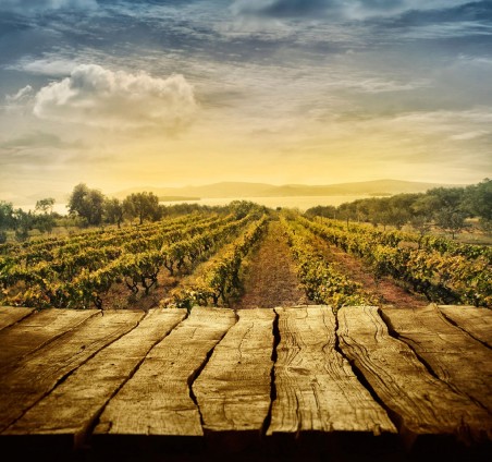 Április 30-ig lehet új borszőlőültetvénye